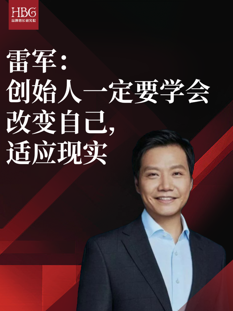 Lei Jun Business Strategy